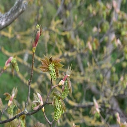 20220503-d22_7709.jpg