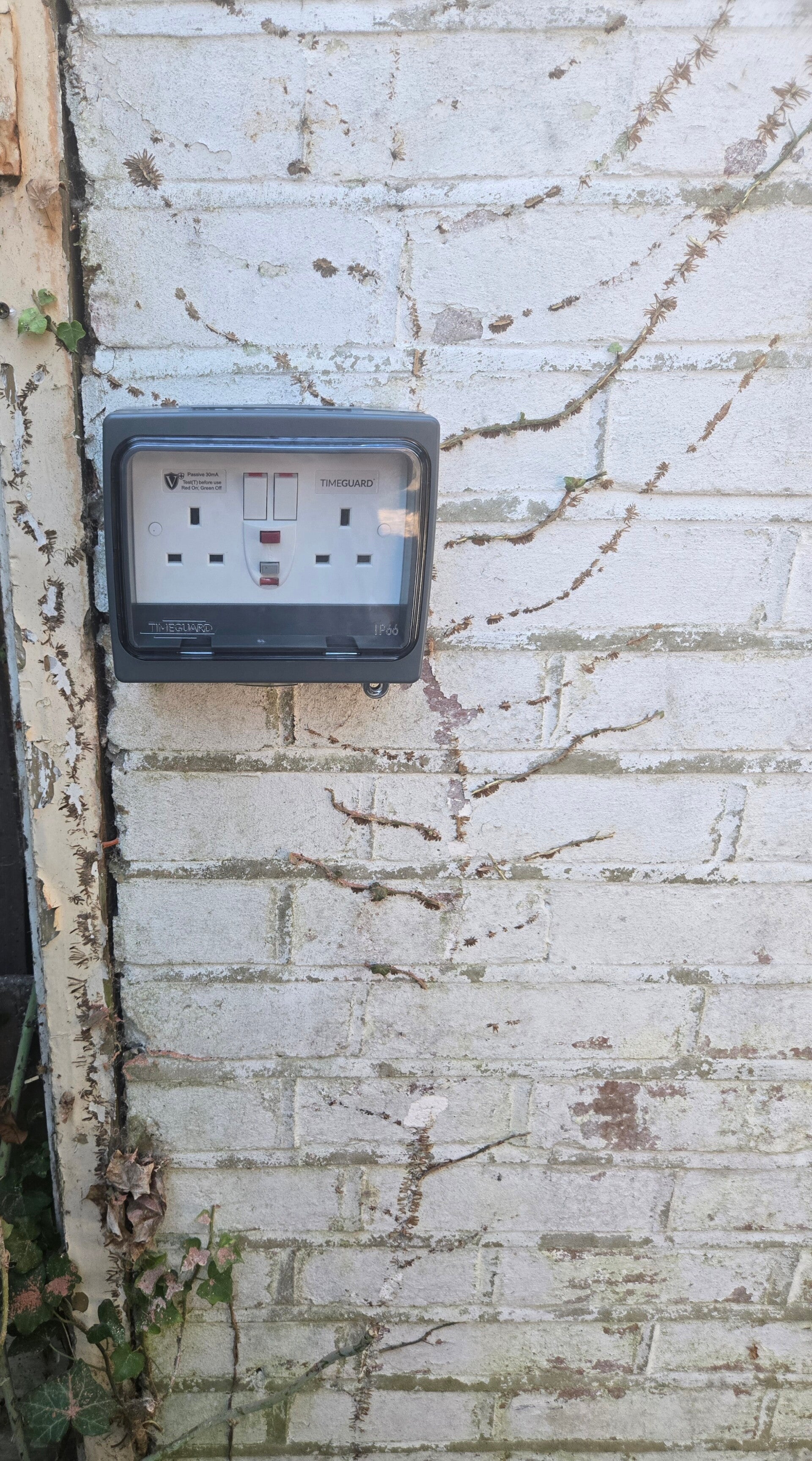 20260625_154947-standard.jpg