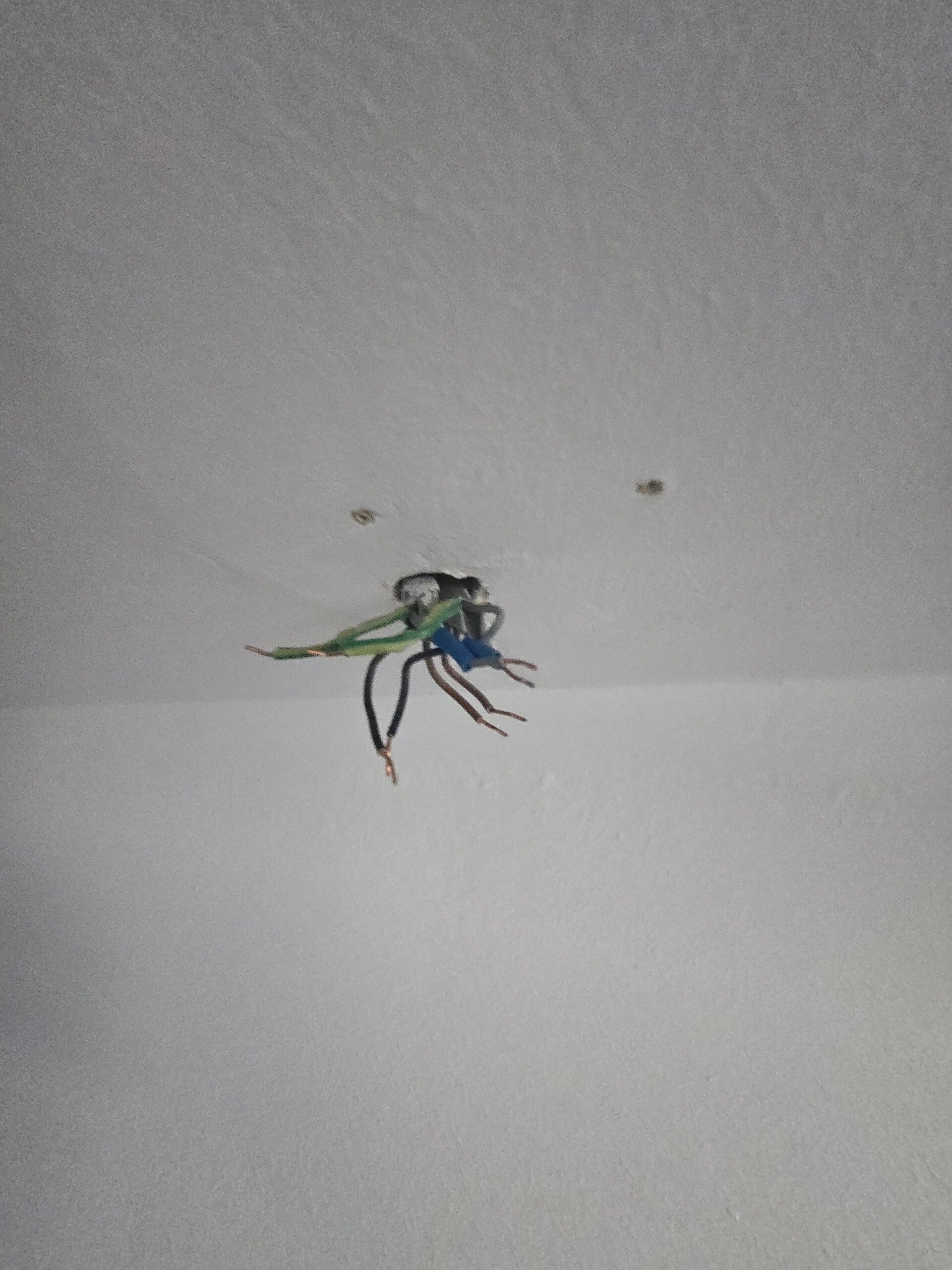 20260718_105456-standard.jpg