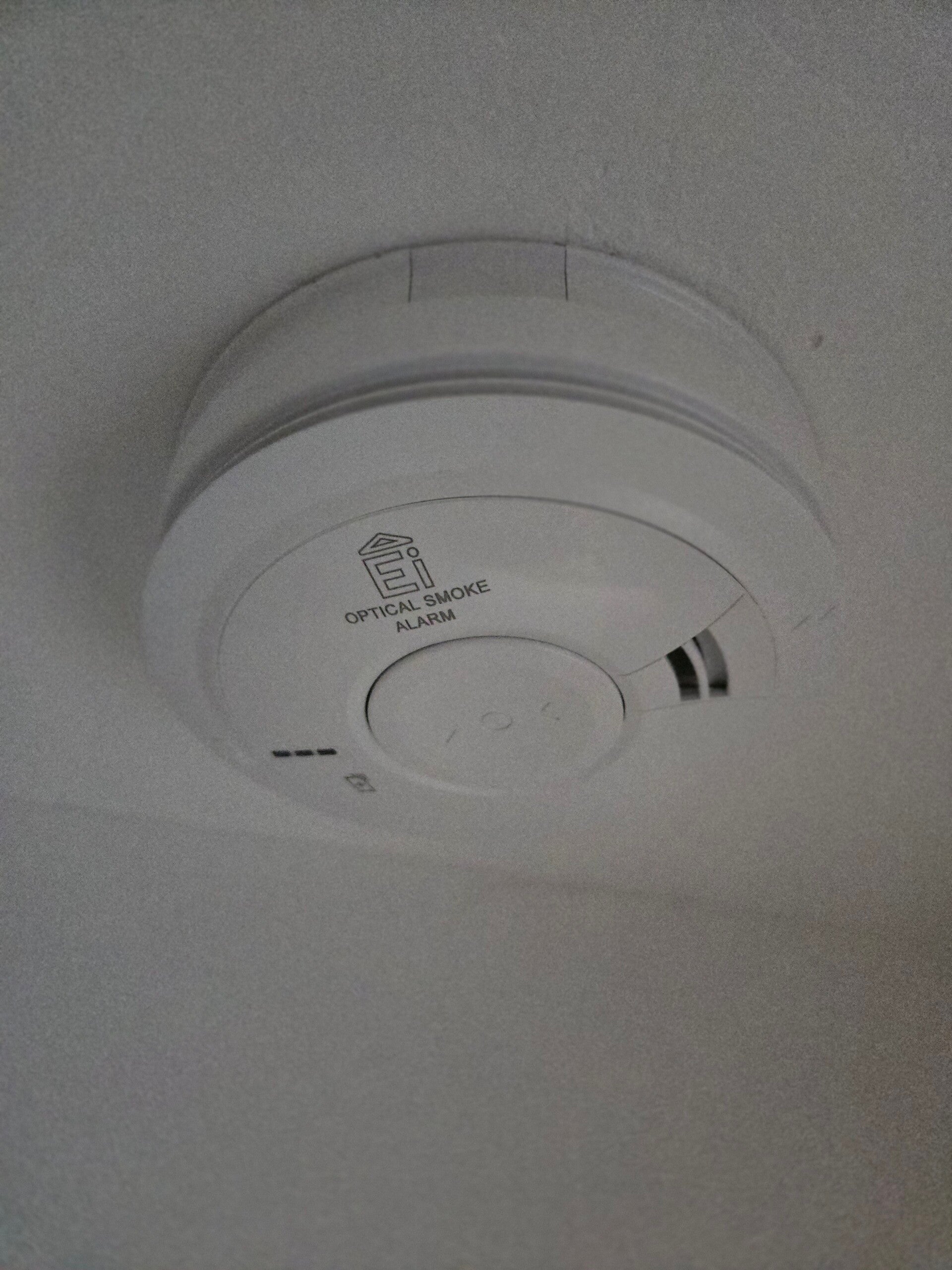 20260718_114355-standard.jpg