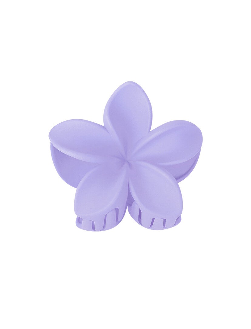 Haarklem bloem - paars