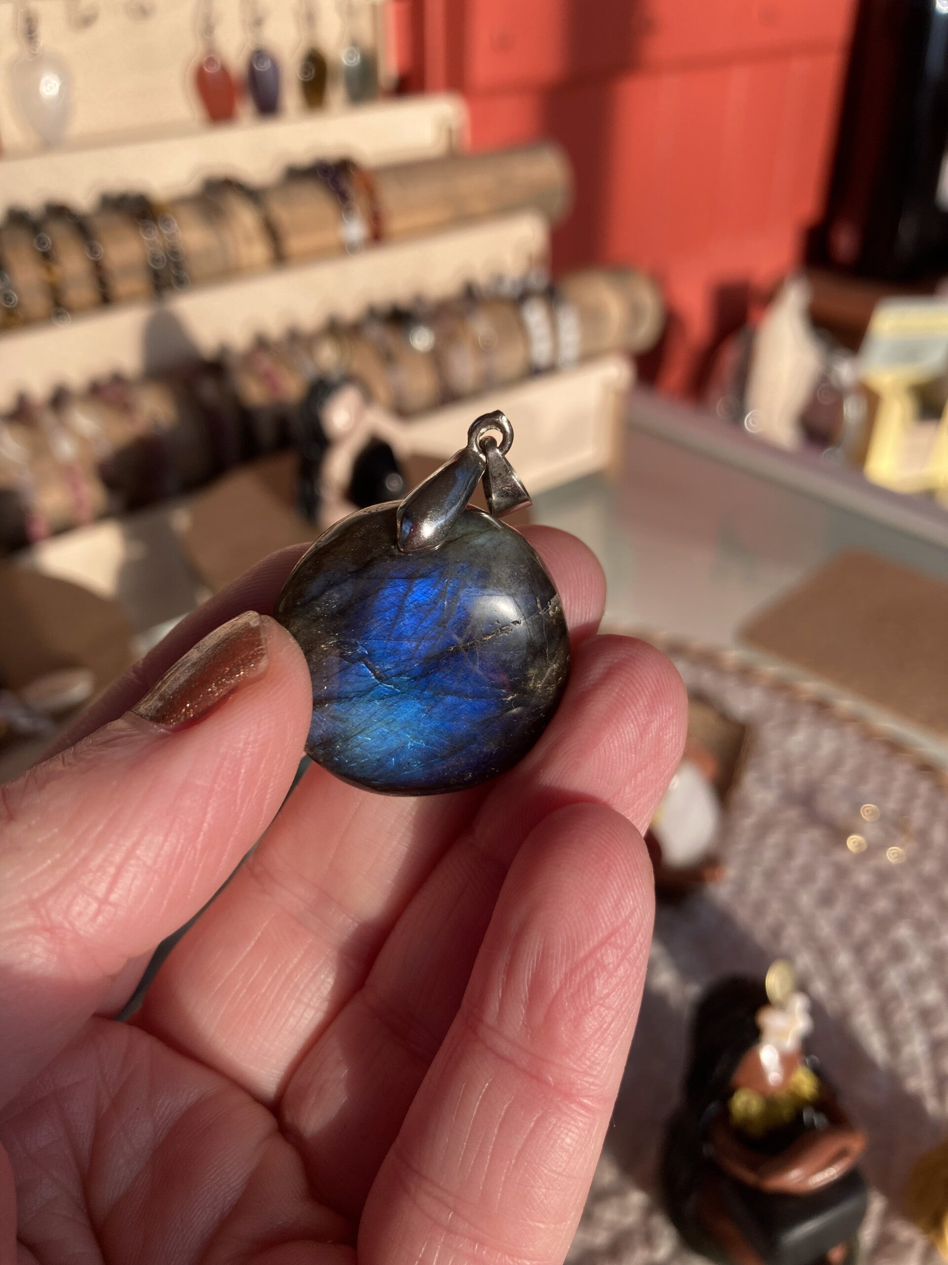 rond labradoriste bleue