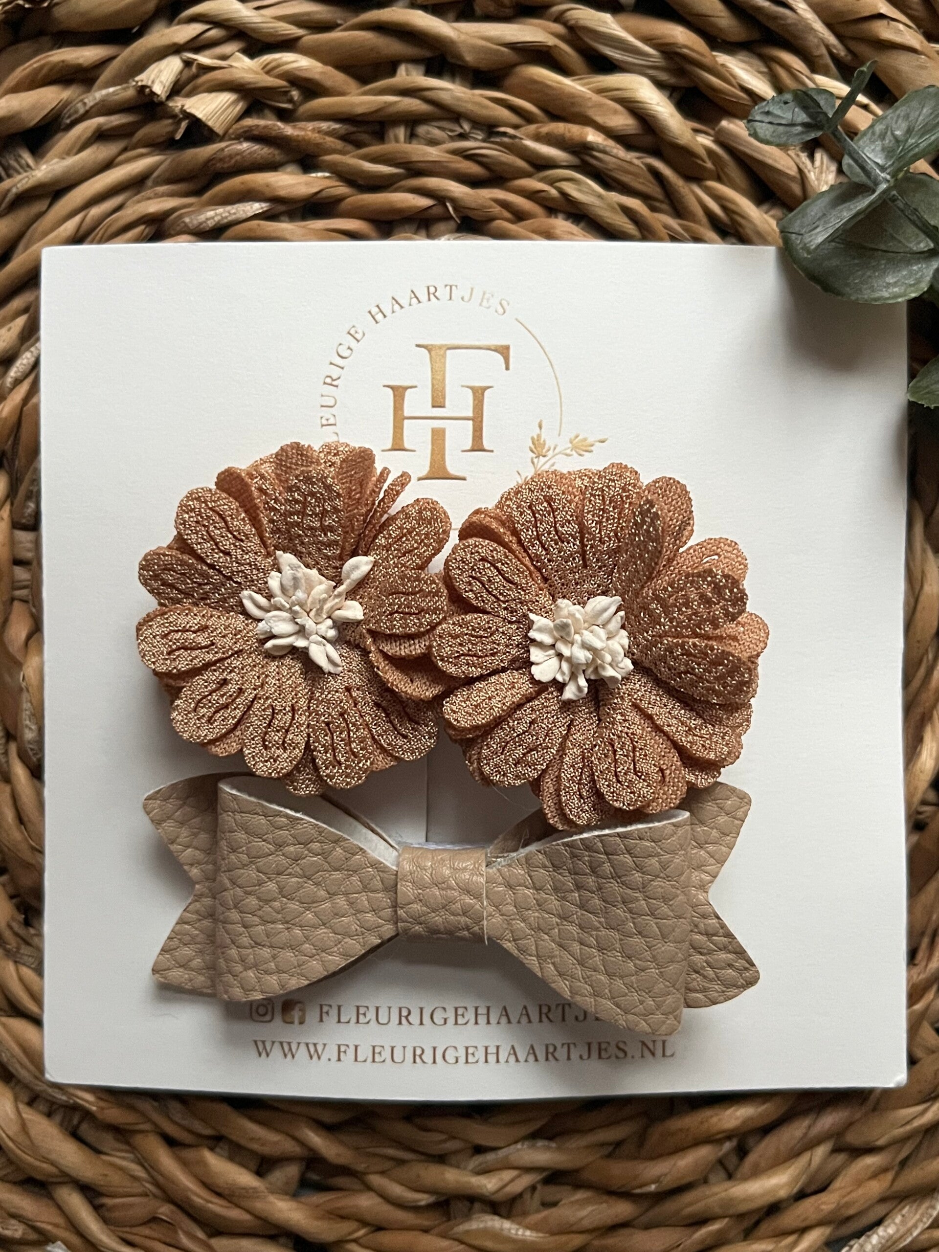 Alligator - Set Yara