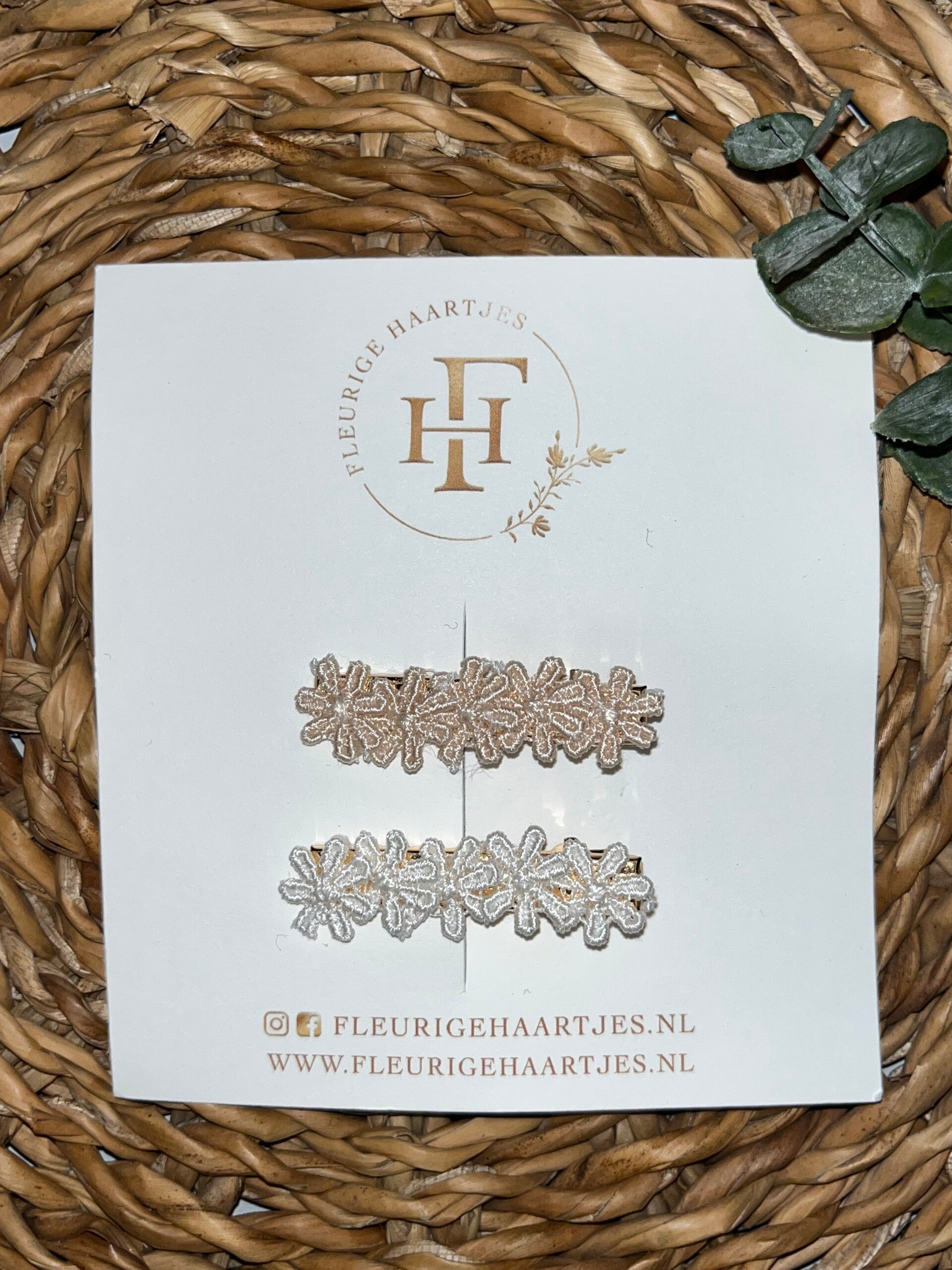 Alligator - set Lynn