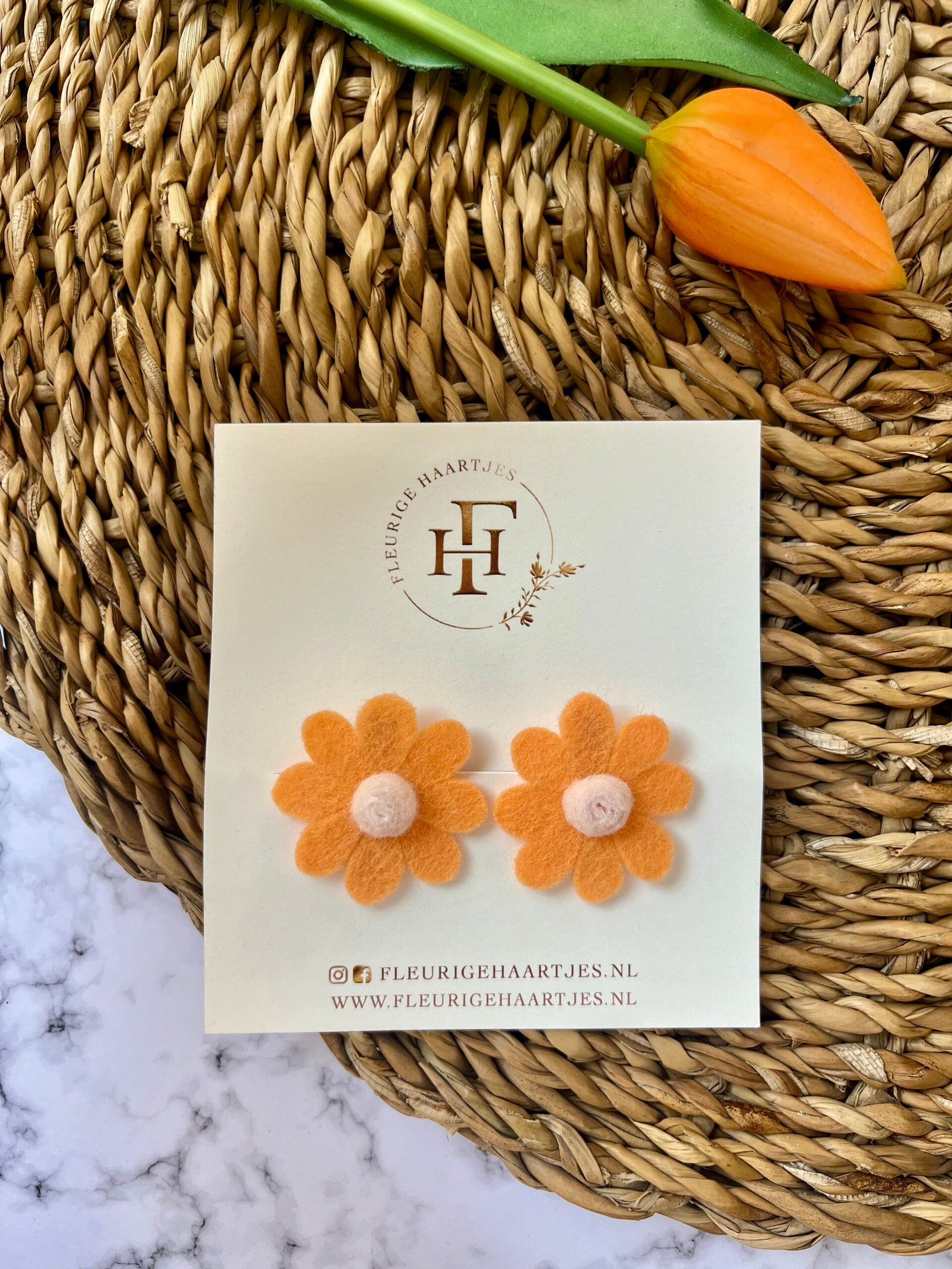 Koningsdag alligator set 5