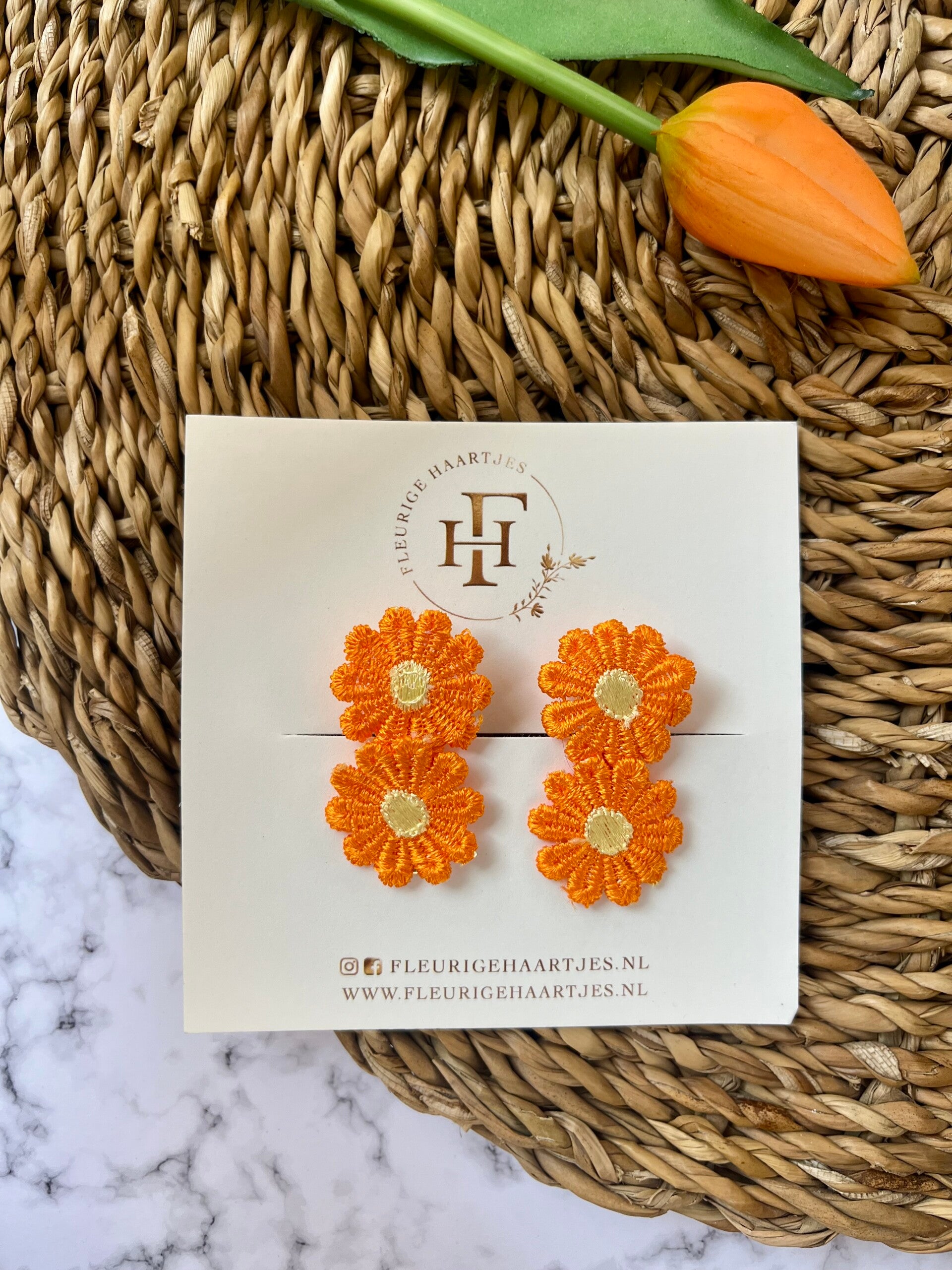 Koningsdag alligator set 4