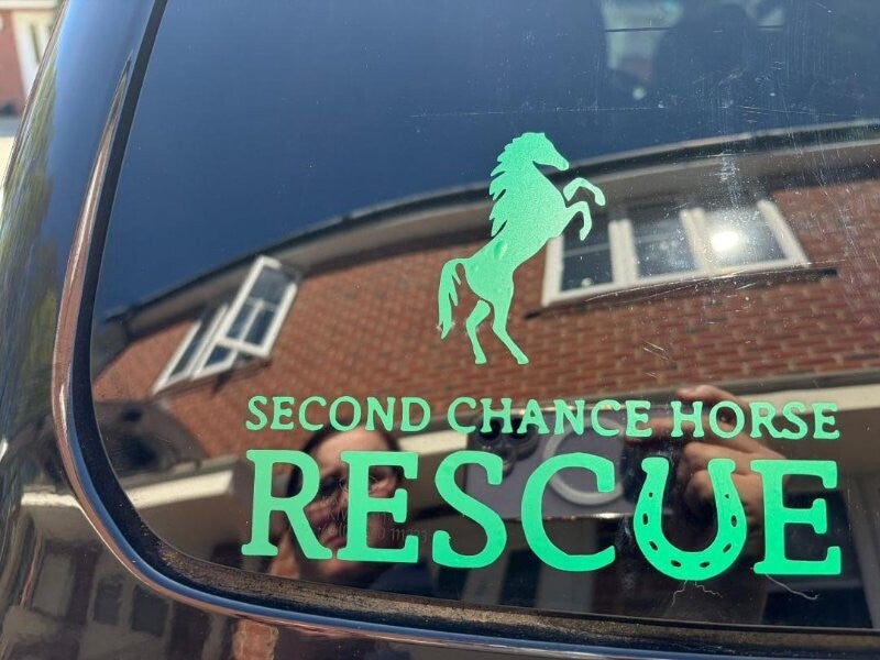 car sticker