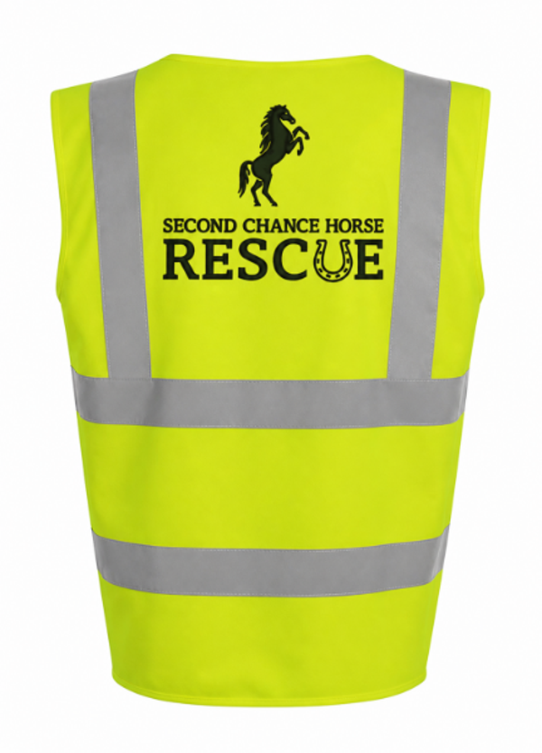 Hi-Viz