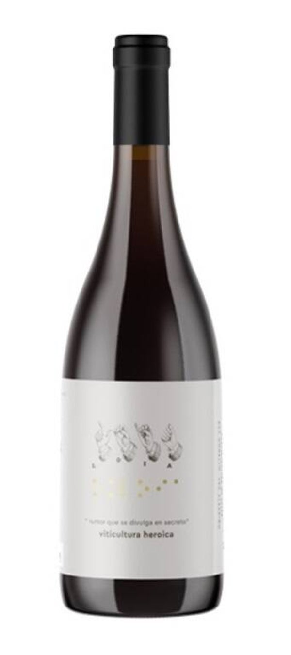 Vino Blanco Loia Barrica Godello - Albariño - Treixadura - Branco Lexítimo 750ml (Abadia da Cova (Adegas Moure)) - Ribeira Sacra