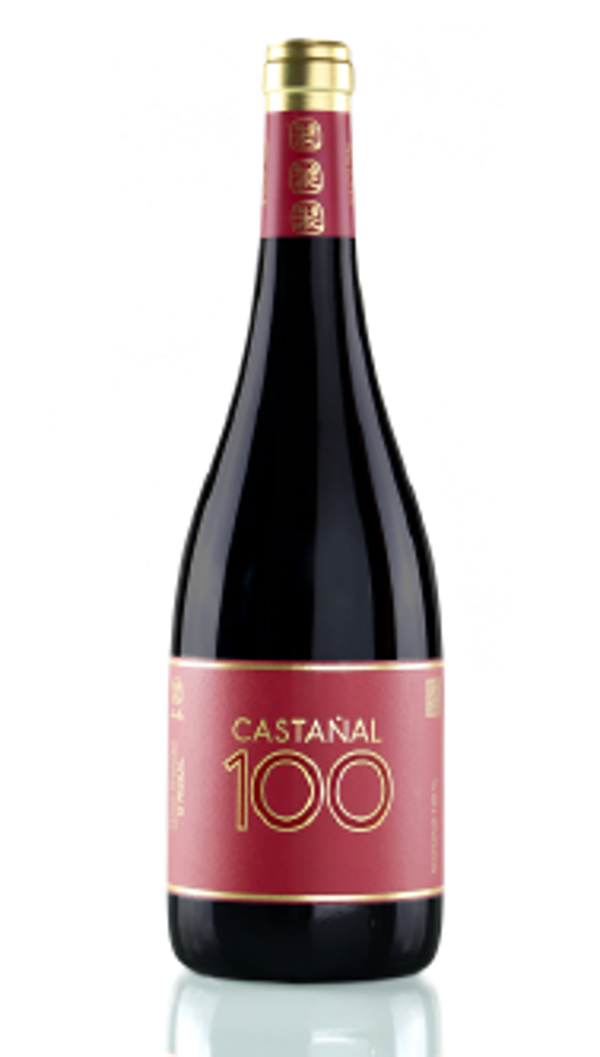 Vino Tinto Davila Castañal 100 Barrica Castañal 750ml (Valmiñor) - Rias Baixas