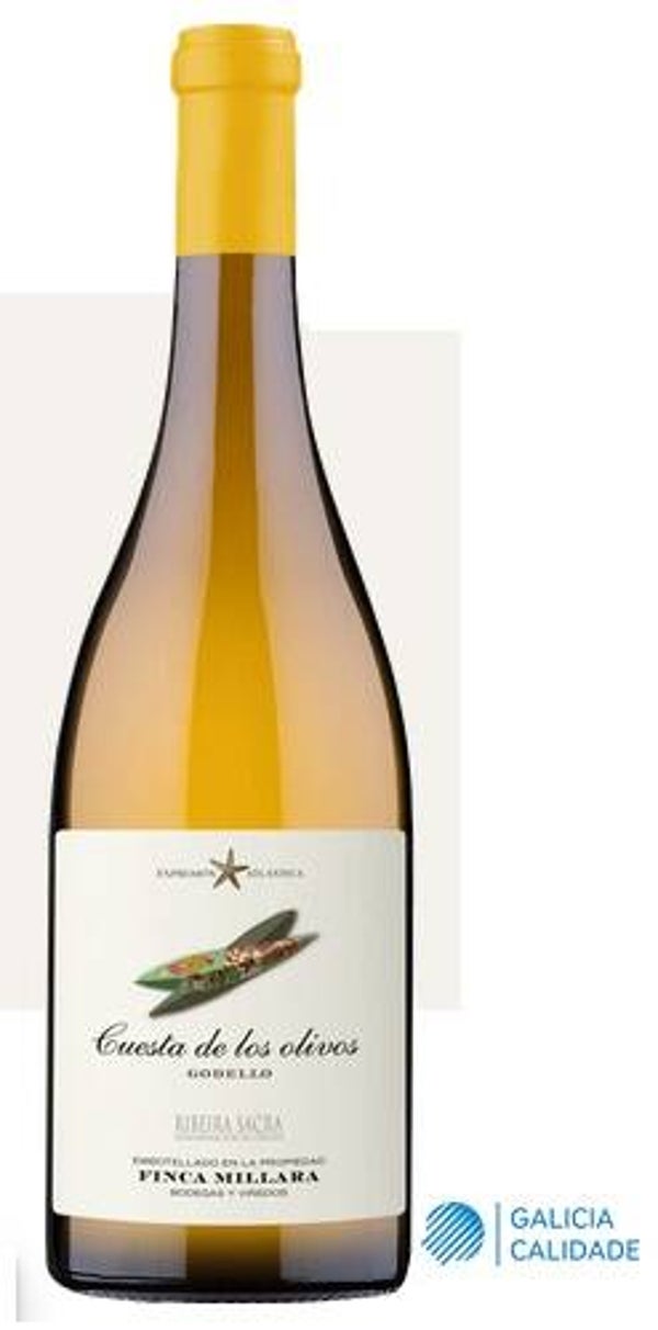 Vino Blanco Cuesta de los Olivos Godello 750ml (Finca Millara) - Ribeira Sacra