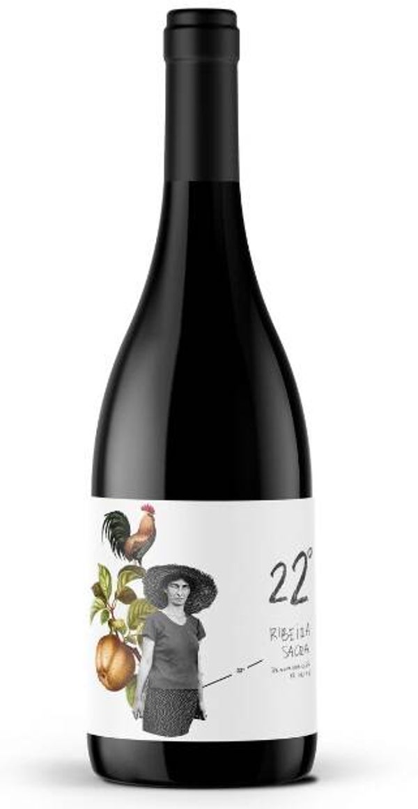 Vino Tinto 22º Guarda Mencia 750ml (Alouviño) - Ribeira Sacra