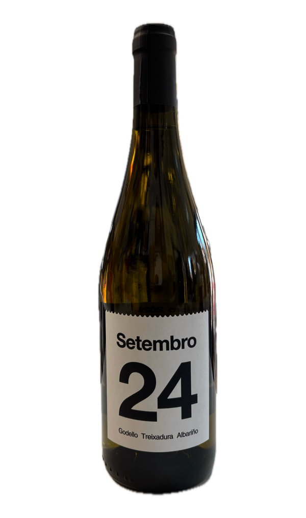 Vino Blanco Setembro Godello - Treixadura - Albariño 750ml (Pazo de Valdeconde) - Monterrei