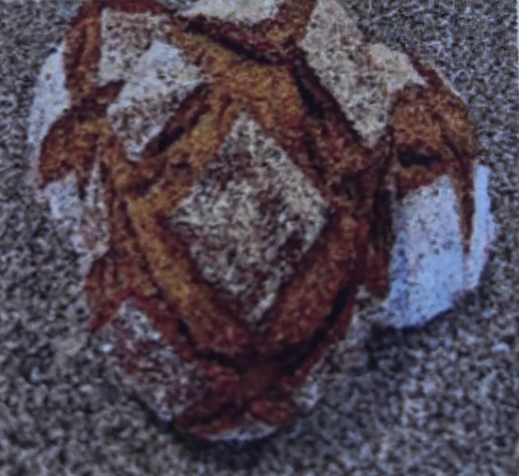 Bolla Centeno Panrey 600grs