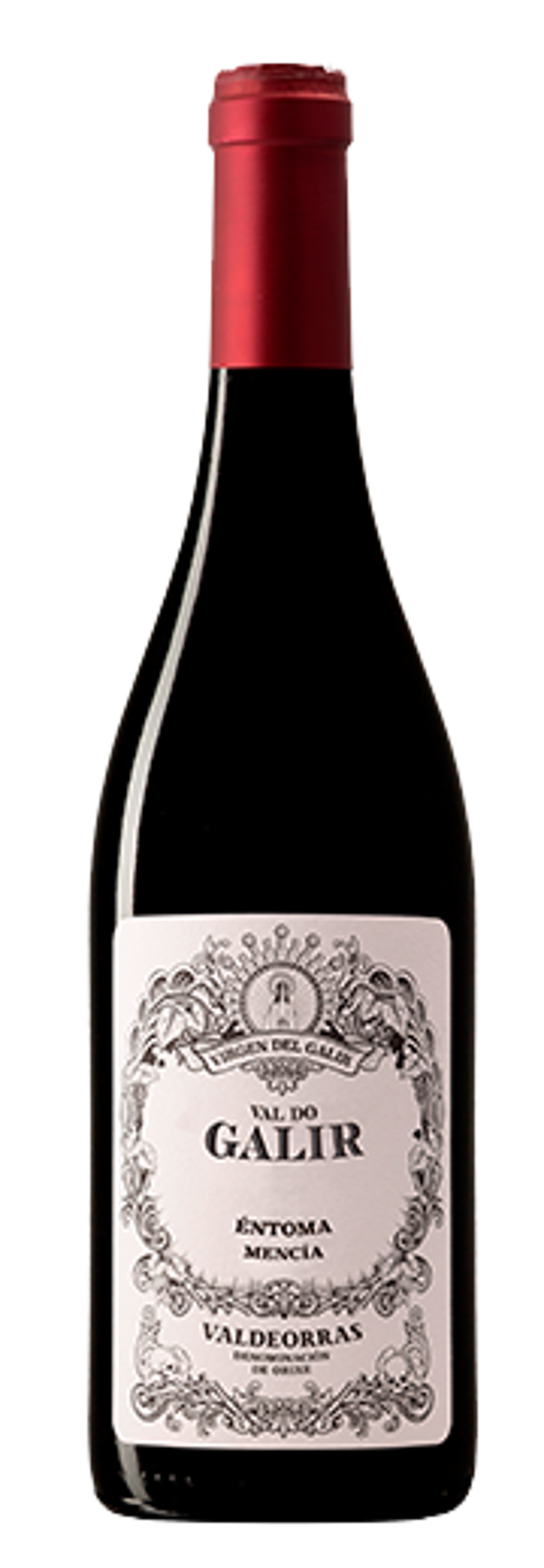 Vino Tinto Pagos del Galir Barrica Mencía 750ml (Virgen del Galir) - Valdeorras