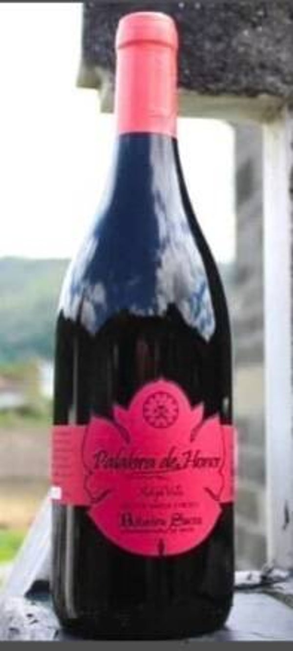 Vino Tinto Palabra de Honor Barrica Mencía 750ml (Adega Vella) - Ribeira Sacra