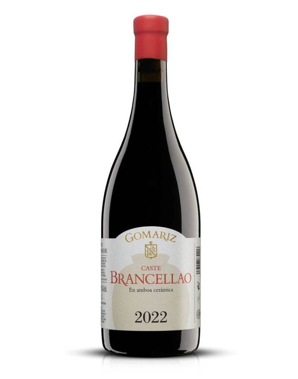Vino Tinto Caste Amboa Cerámica Brancellao 750ml (Coto de Gomariz) - Ribeiro
