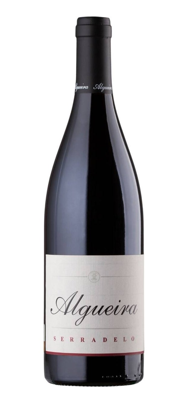 Vino Tinto Algueira Serradelo Barrica Brancellao 750ml (Algueira) - Ribeira Sacra