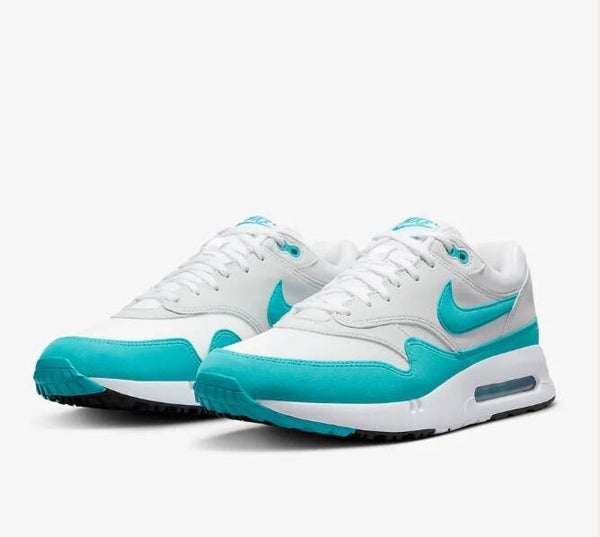 Nike Air Max 1 Dusty Cactus (Women's)
