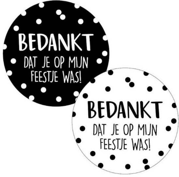 10 stickers bedankt dat je op mijn feestje was