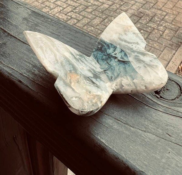 Crazy Lace Agaat vlinder