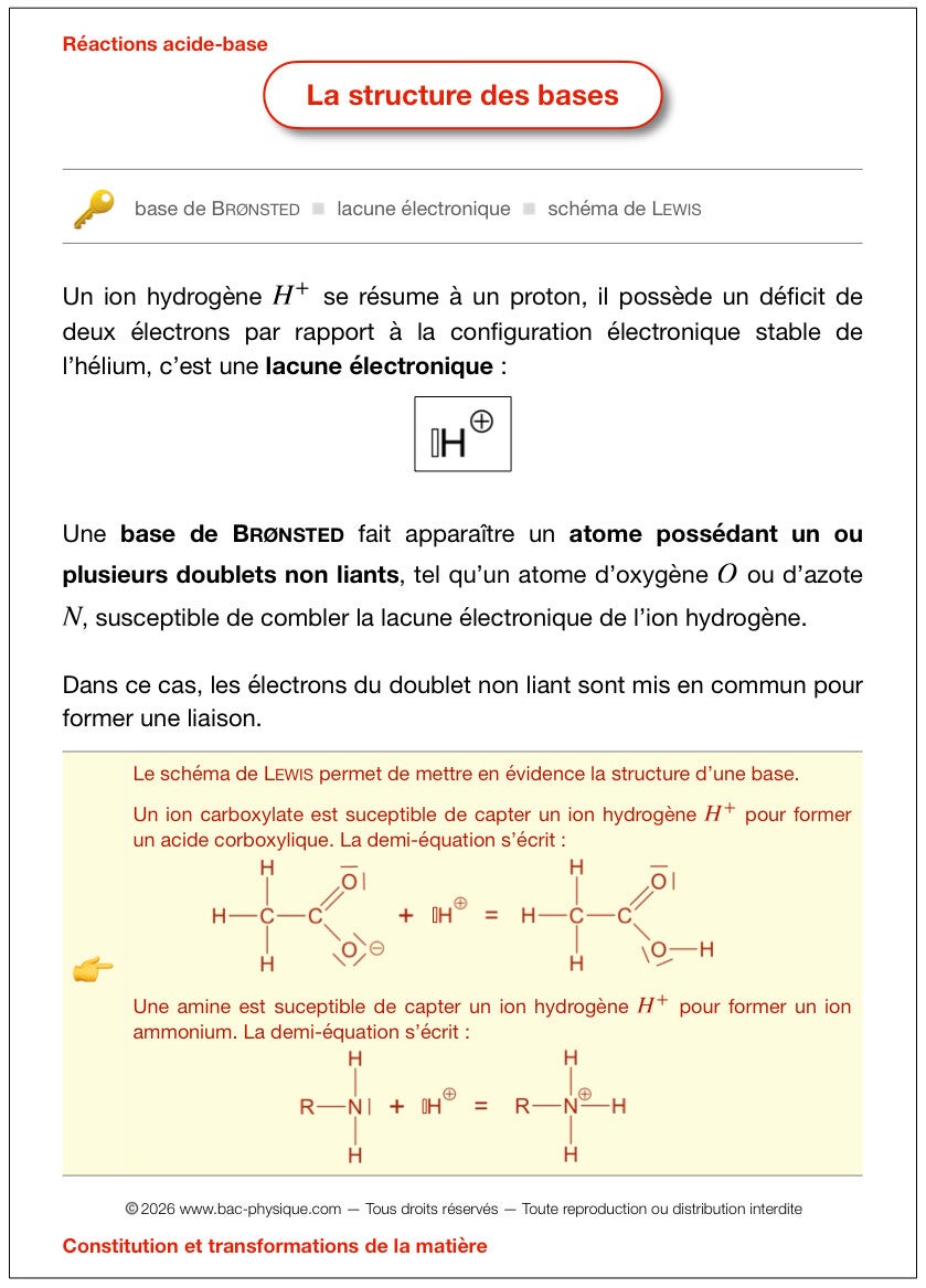 La fiche de révision sur la structure des bases qui permet d'optimiser la préparation pour le BAC.