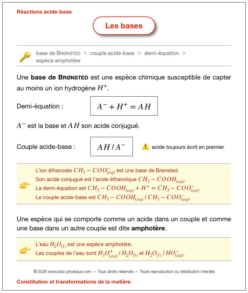 La fiche de révision sur les bases qui permet d'optimiser la préparation pour le BAC.