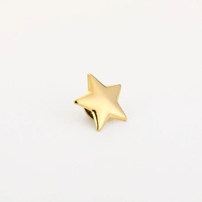 Star broche