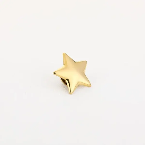 Star broche