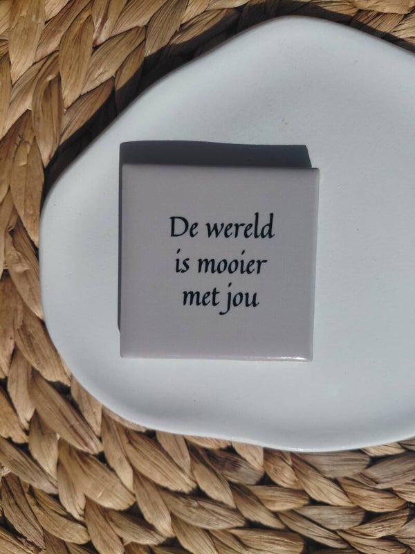 Magneet tegeltje '' De wereld is mooier met jou ''