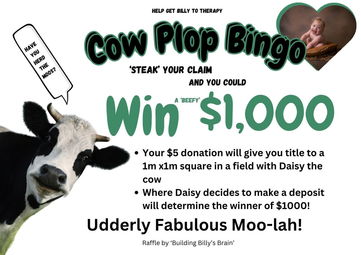 Cow Plop Bingo! | Fundraising4billy