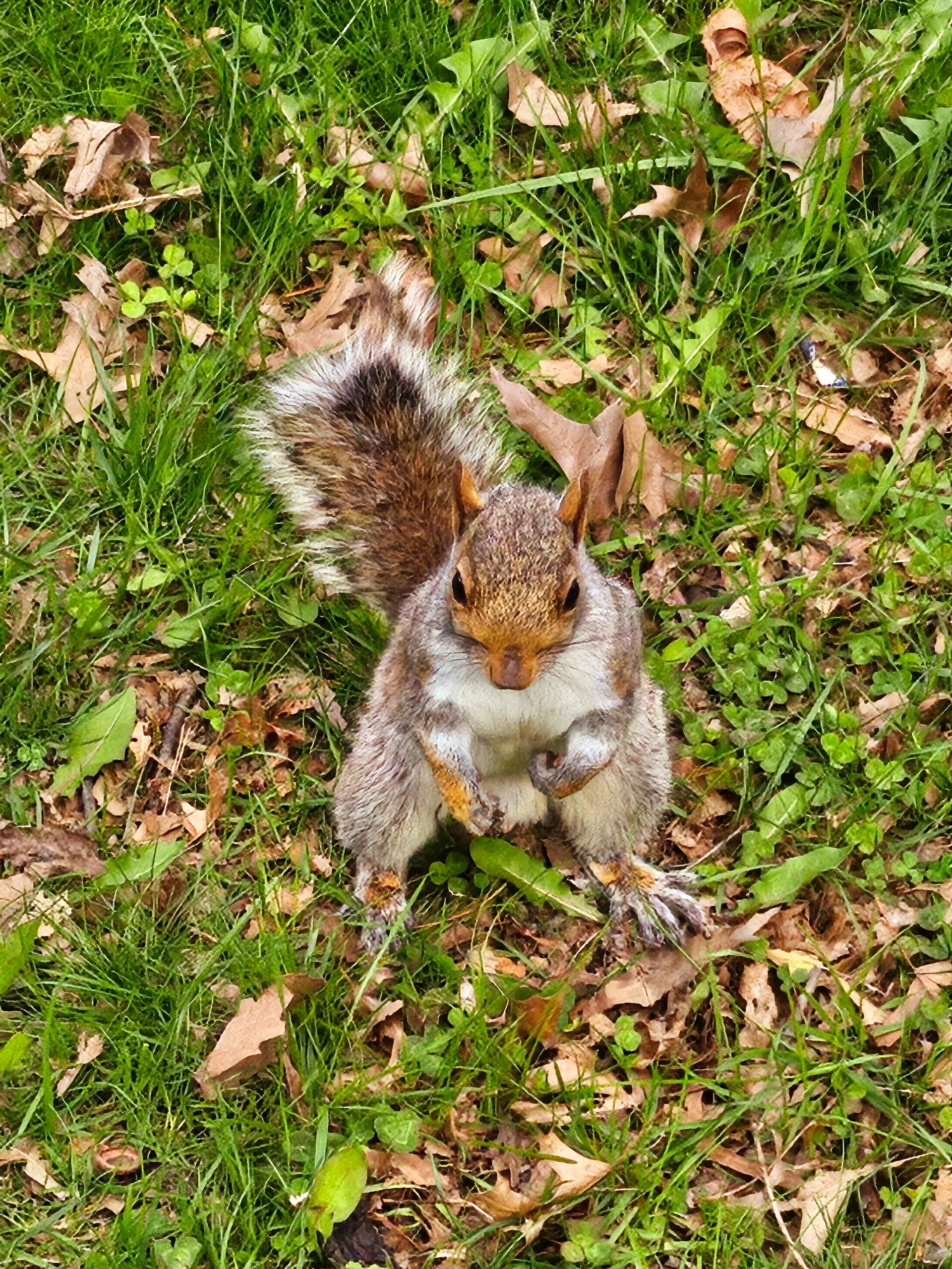 20250415_164426-standard-09oc4i.jpg