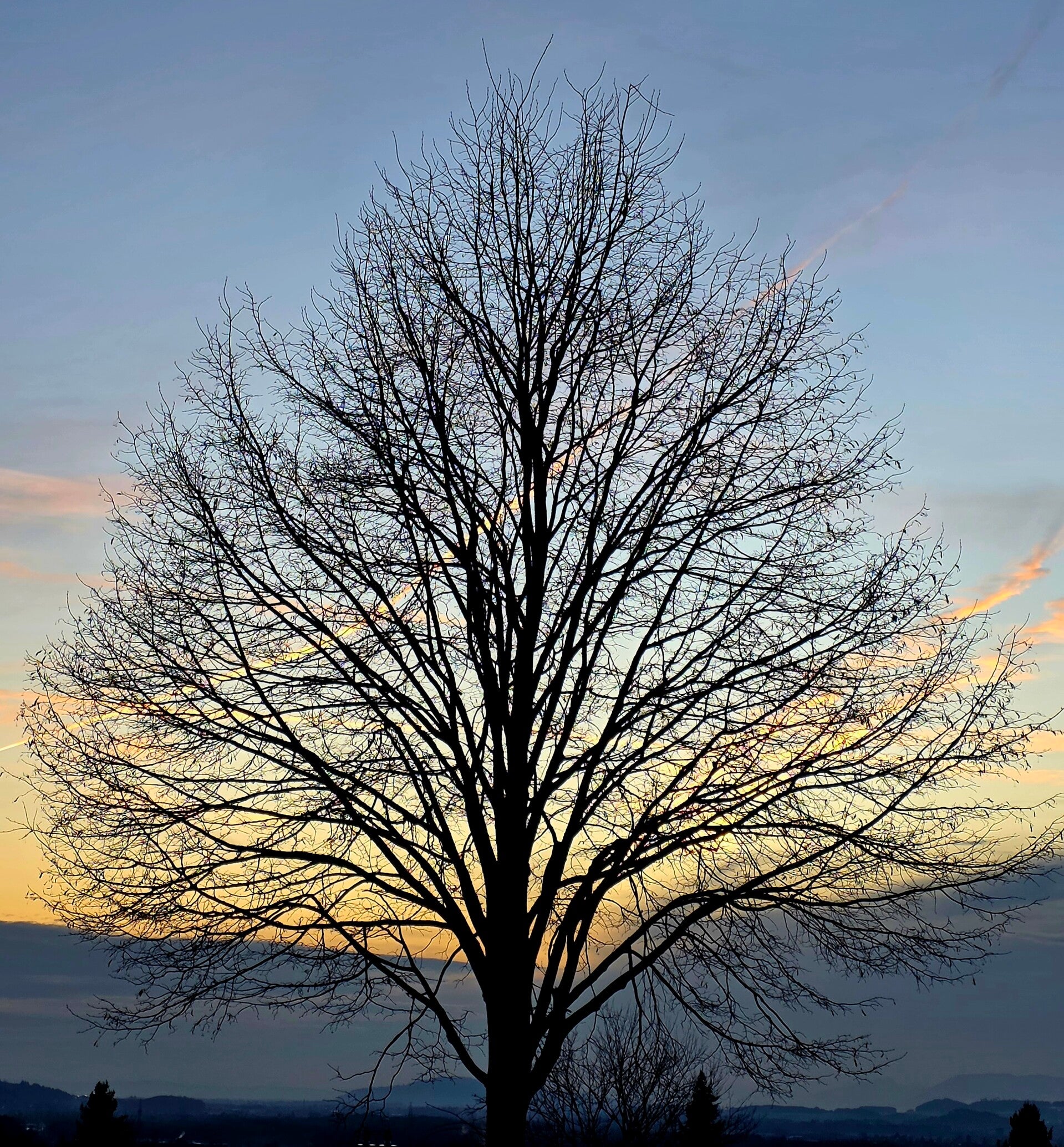 20260114_171044-standard.jpg