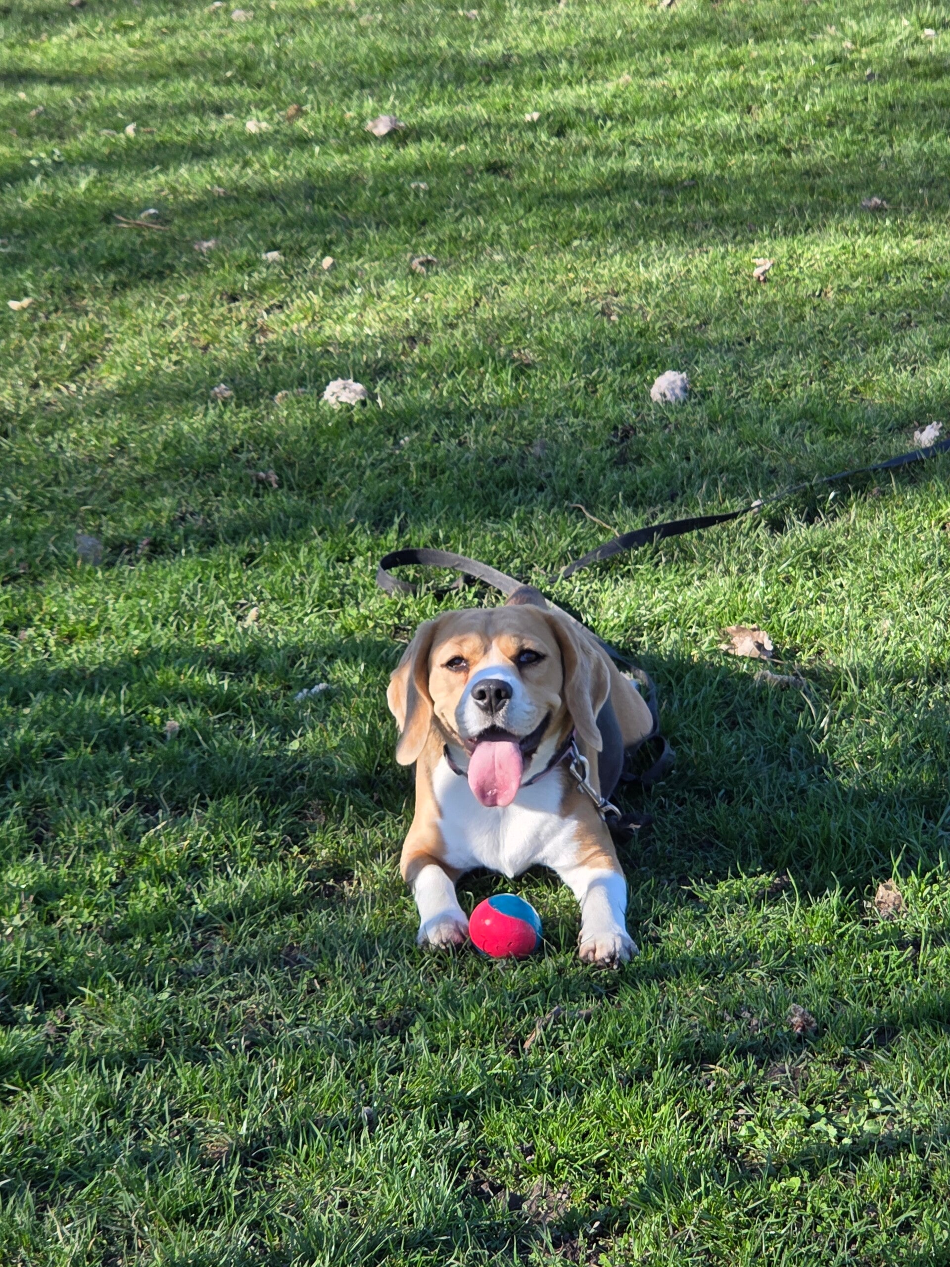 20260302_144002-standard.jpg