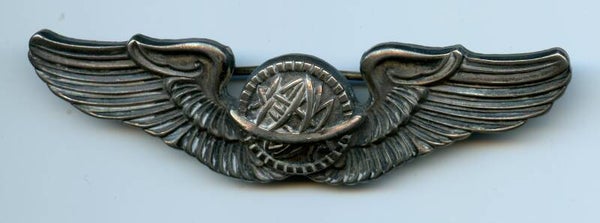 WW2 Sterling Air Force Navigator Wing (N.S. Meyer)