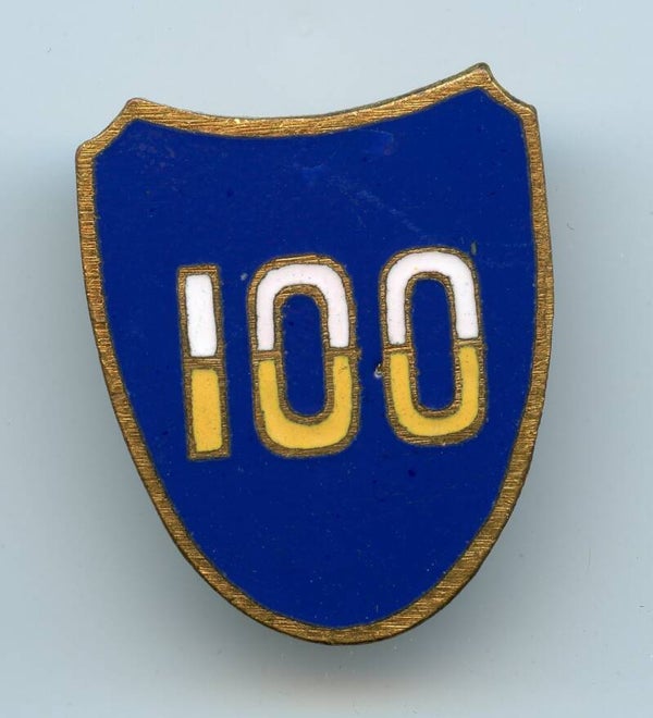 WW2 100th Infantry Division DUI Pin