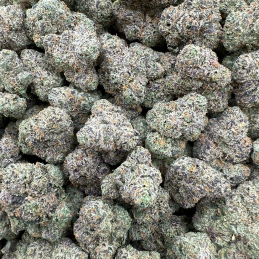 RRReal ZaRa Blue Zaza