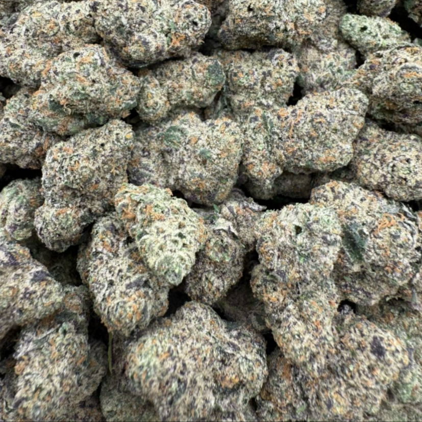 Sauce Runtz exotic indoor