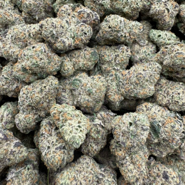 White Runtz exotic indoor