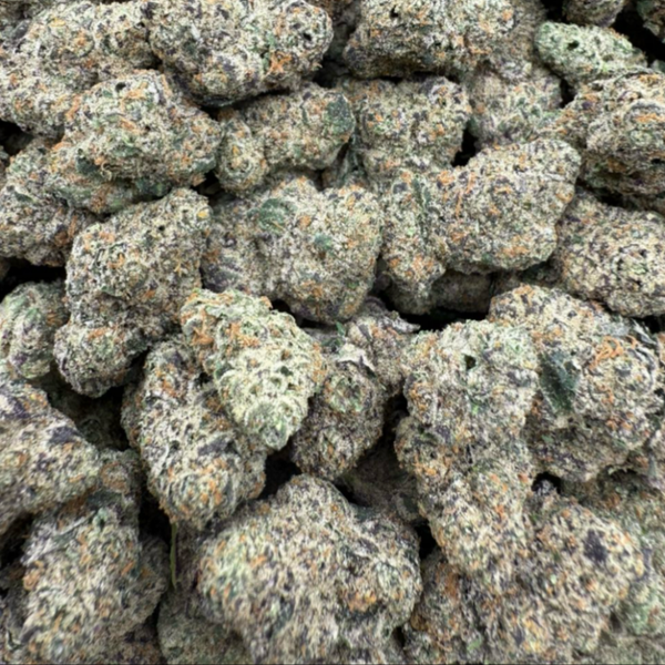 Sauce Runtz exotic indoor