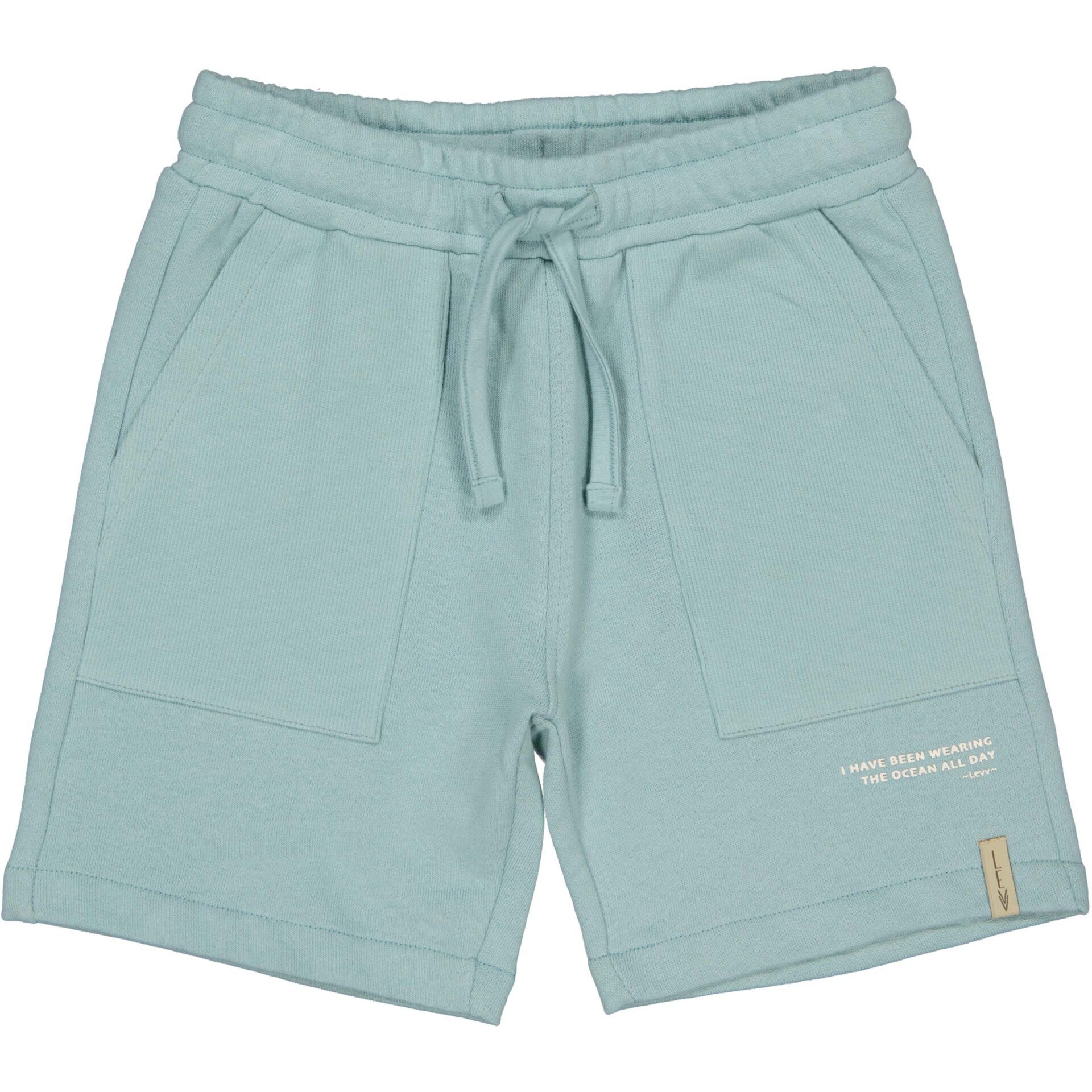 Levv Petrol short Bryson