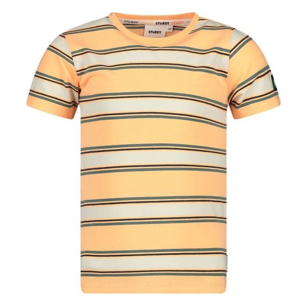 Sturdy T-shirt streep - Lagoon Legends