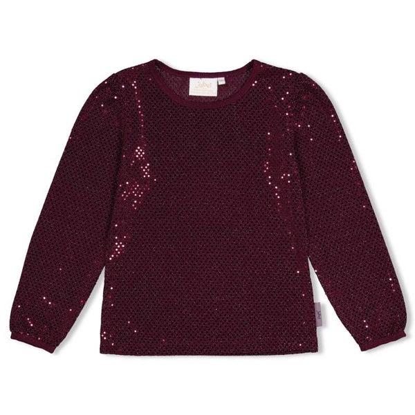 Jubel Longsleeve pailletten - Daily Princess