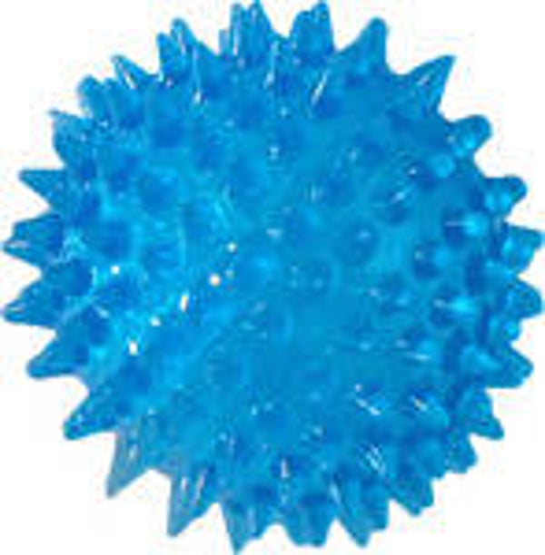 Bal drijvend blauw 