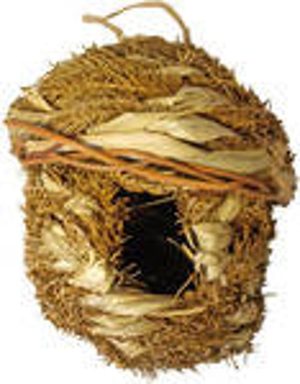 Broednest lantaarn 