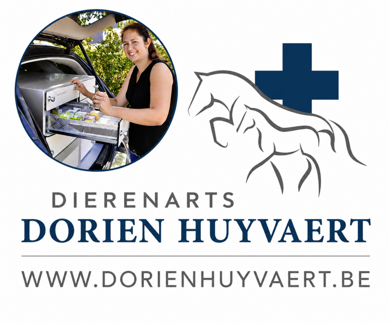 dorien-huyvaert-logo-standard.png