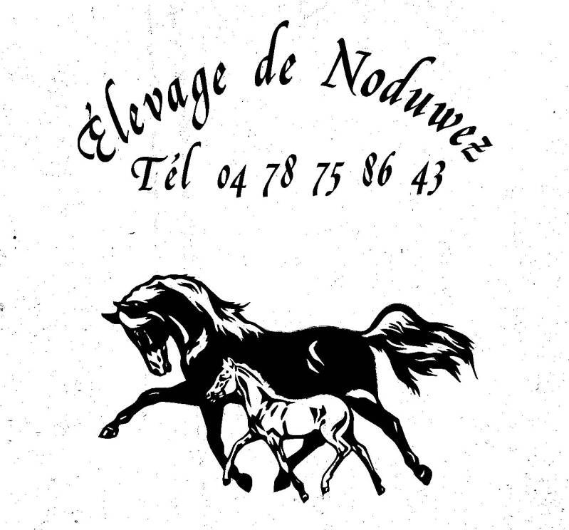 elevage_de_noduwez_vrijstaand_zwart_wit-1-_edited-standard.jpg