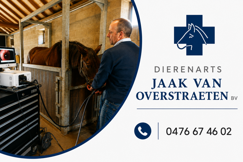jaak-van-overstraeten-logo-standard.png