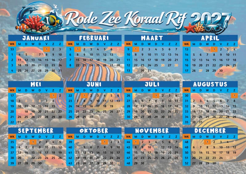 A3L-Rode.Zee.Koraal.Rif27