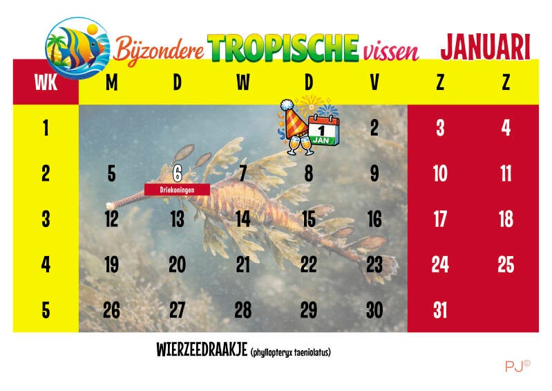 A4L-Tropsche.Vissen.26 ai